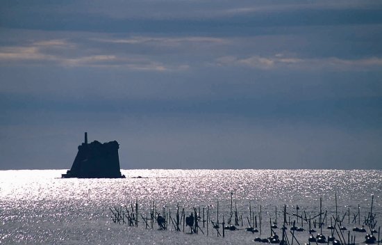 Torre Scola Batteria - Portovenere - Liguria