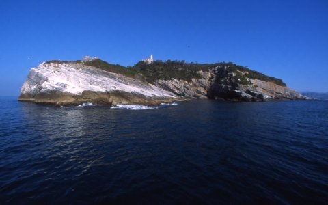 Isola del Tino e Tinetto - Portovenere - Liguria