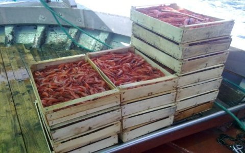 Il Gambero Rosso di Santa Margherita Ligure